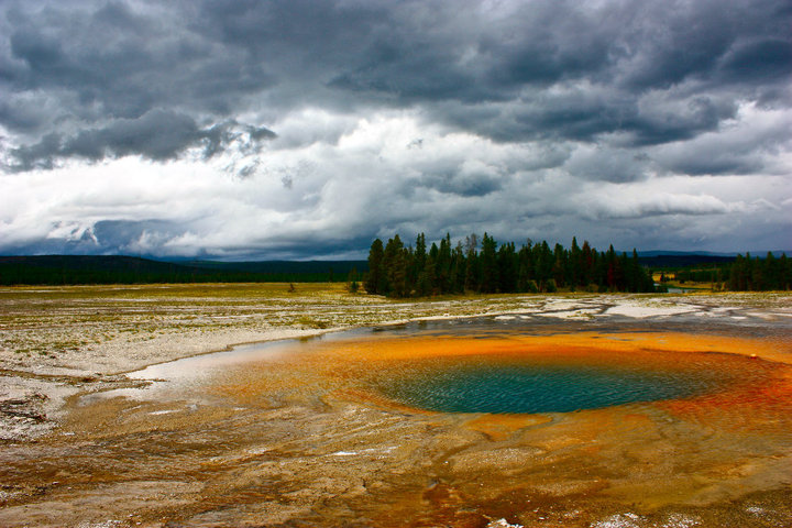 40069_1403777700973_1428270275_31005030_3521180_n